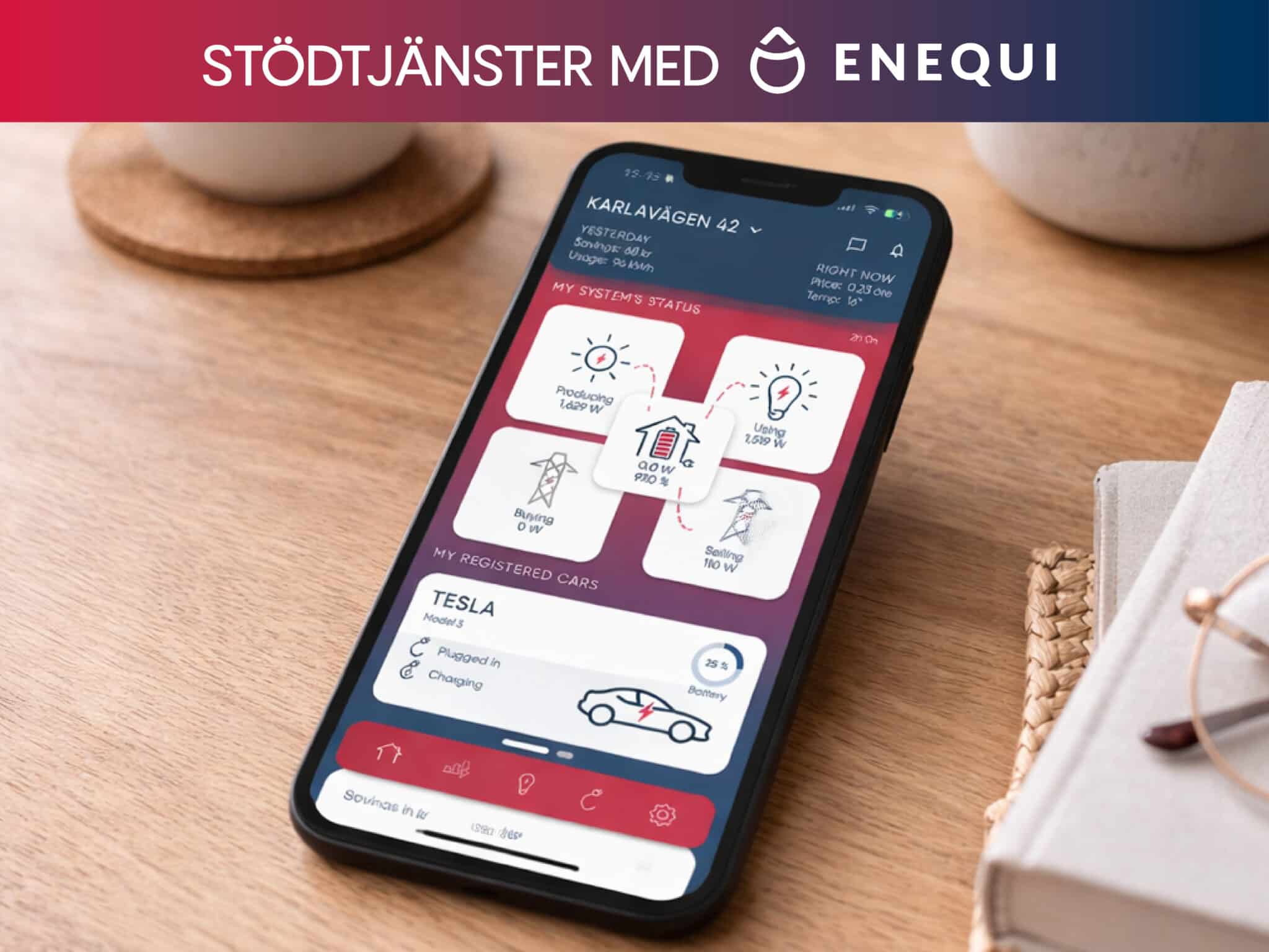 Högst utbetalda månaden hittills för stödtjänster