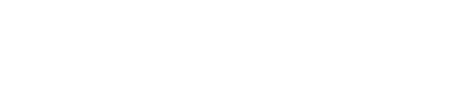KOSTAL logo